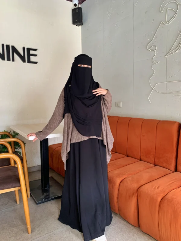 دينا نقاب dina niqb