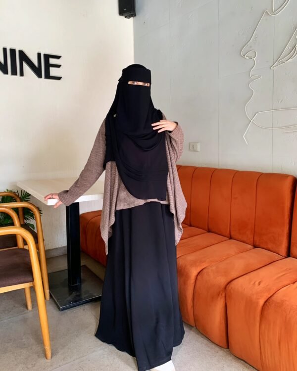 دينا نقاب dina niqb