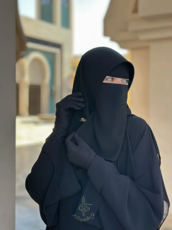 دينا نقاب dina niqab