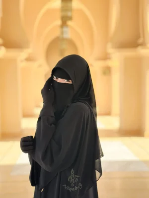 دينا نقاب dina niqab