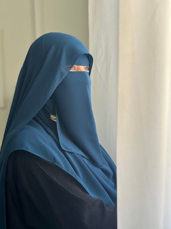 دينا نقاب dina niqab